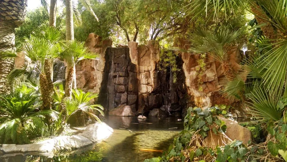 Wildlife Habitat at the Flamingo