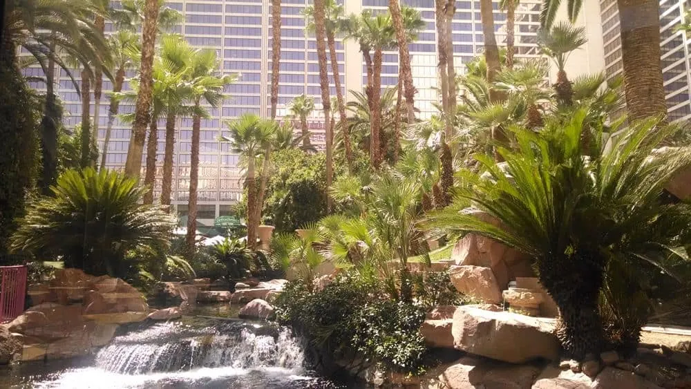 Flamingo-Wildlife-Habitat-Sept-2014-(17)