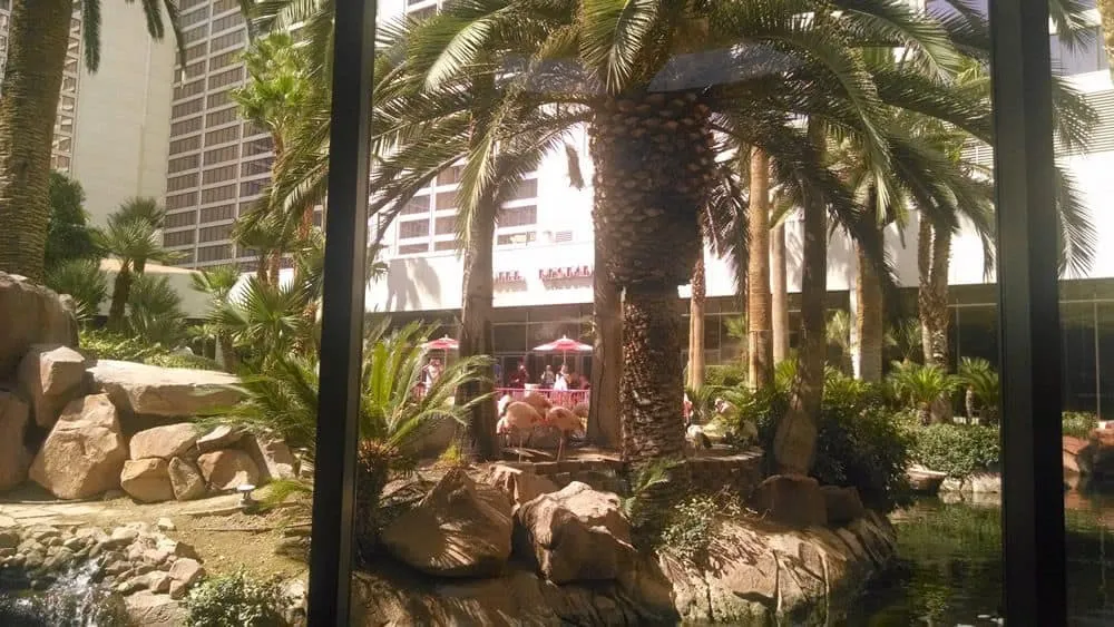 Flamingo Wildlife Habitat