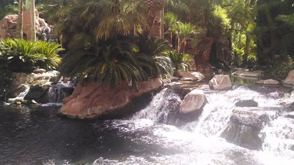 Flamingo Wildlife Habitat