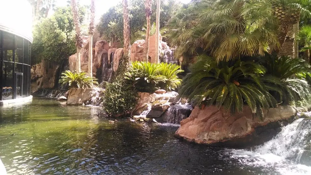 Flamingo Wildlife Habitat