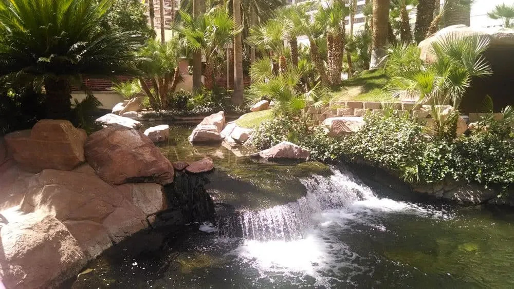 Flamingo Wildlife Habitat