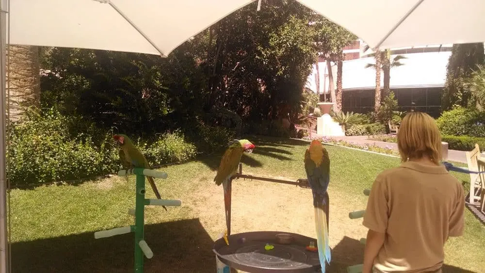 Flamingo-Wildlife-Habitat-Sept-2014