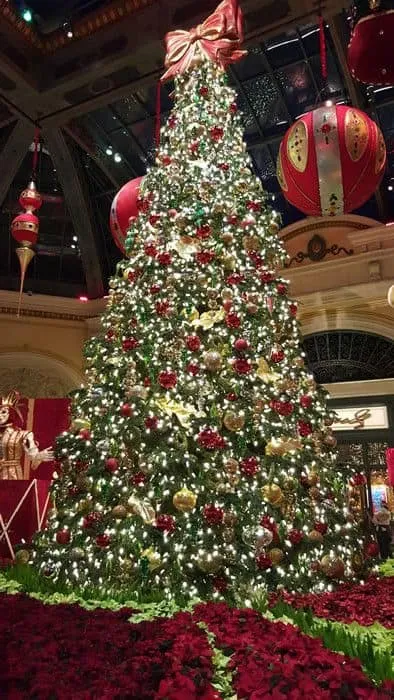 Bellagio Conservatory Christmas Tree