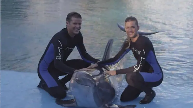 Dolphin Trainer For a Day