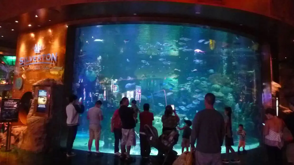 Mermaids at the Silverton Las Vegas