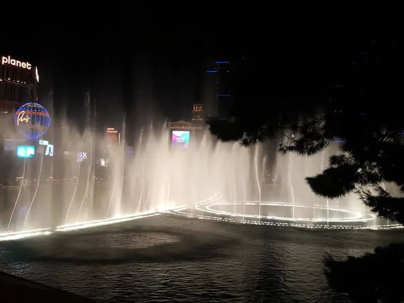 Olives Bellagio Fountain View