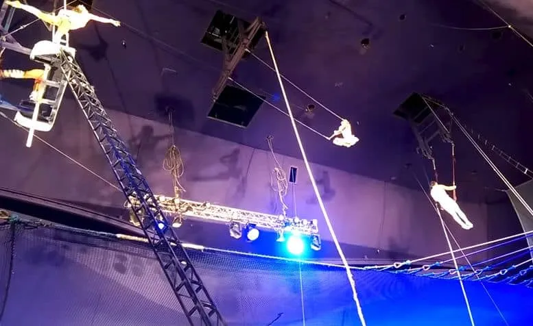 circus acts