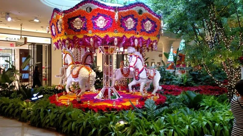 Wynn Botanical Gardens Carousel