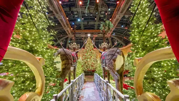 Bellagio Conservatory Holiday 2024 Reindeer and Sleigh Above