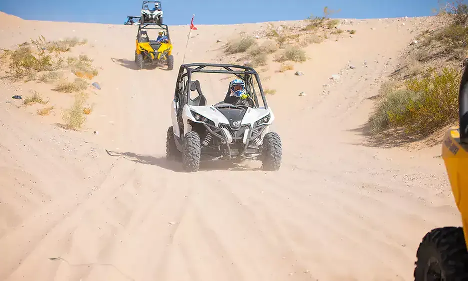 UTV Tour in Mohave Desert