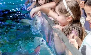 SeaQuest