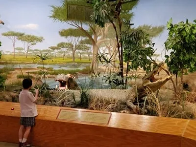 Gary & Matthew Primm African Savanna Gallery