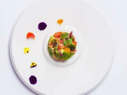 Le Cirque Lobster and Avocado Salad