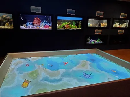 Marine Life Gallery