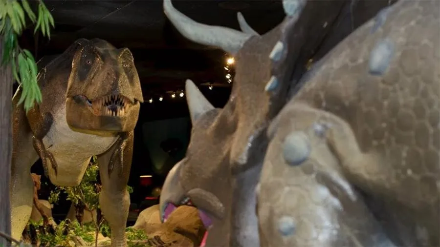 Prehistoric Life Gallery