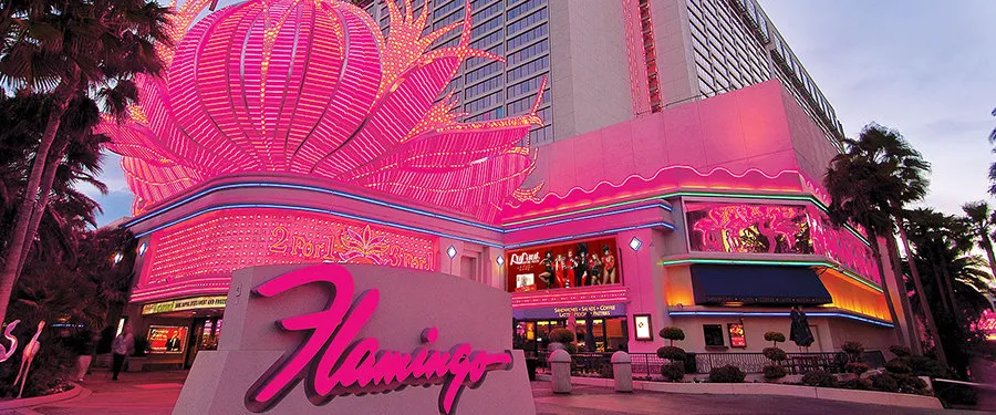 The Flamingo