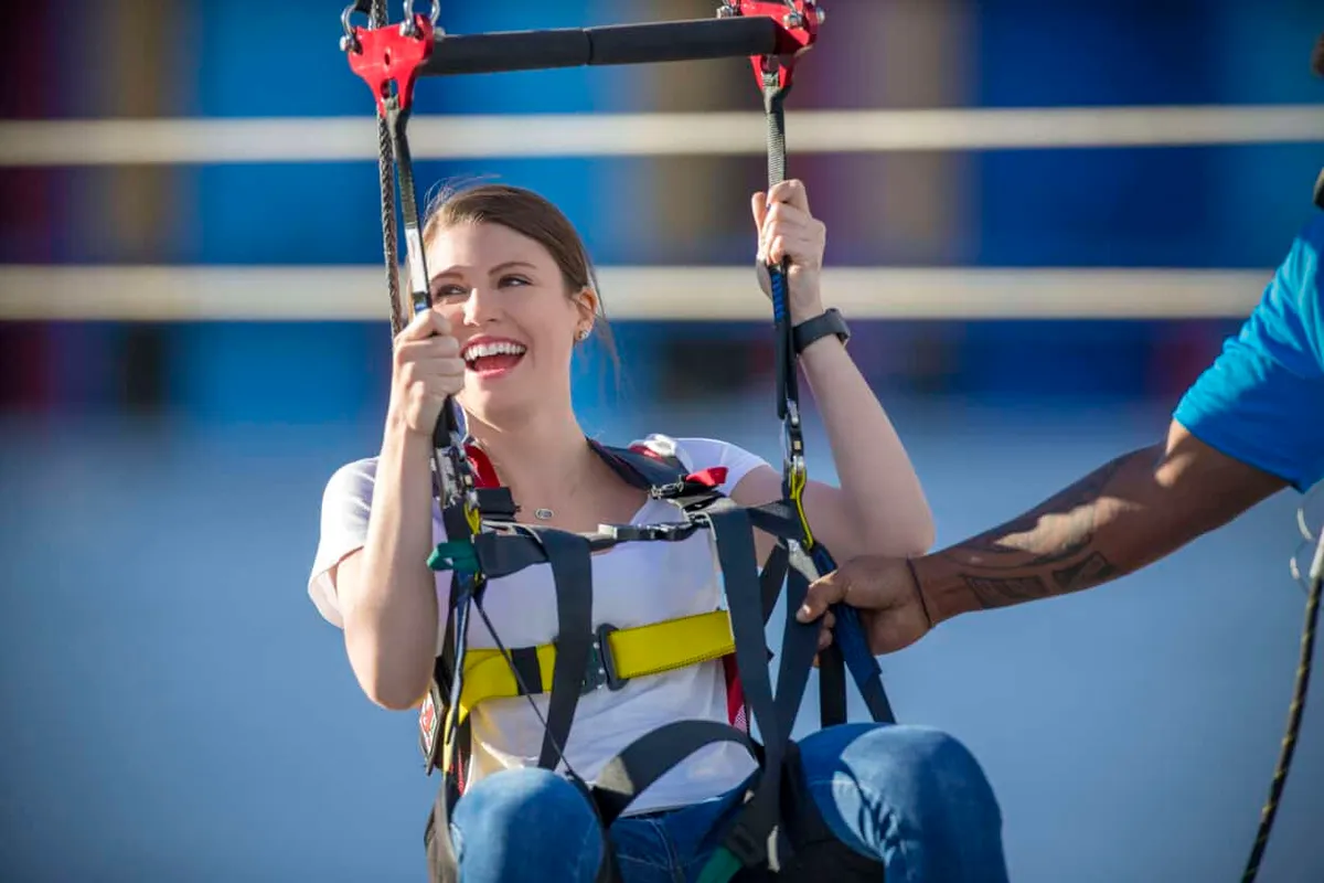 Fly Linq Zipline Closeup
