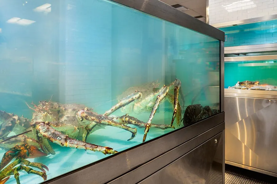 Get Fresh Seafood in Las Vegas