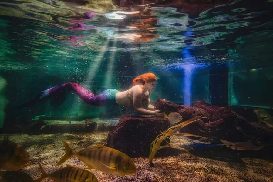 More Fun Aquariums in Las Vegas, NV
