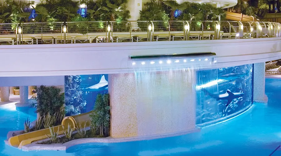 Tank at the Golden Nugget