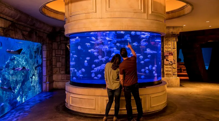 Shipwreck Exhibit
