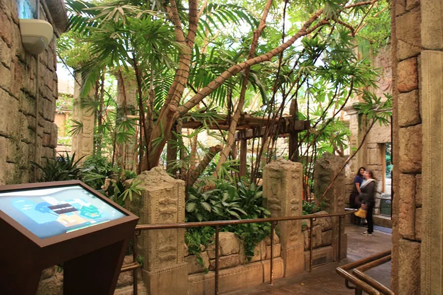 The Jungle at Shark Reef Aquarium