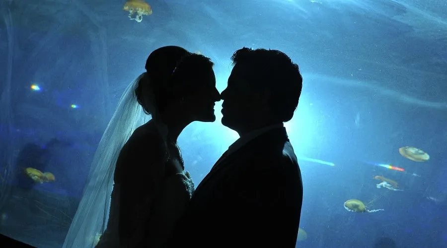 Underwater Proposal