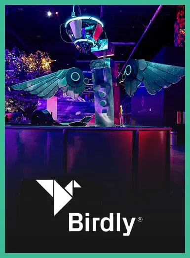 birdly featured