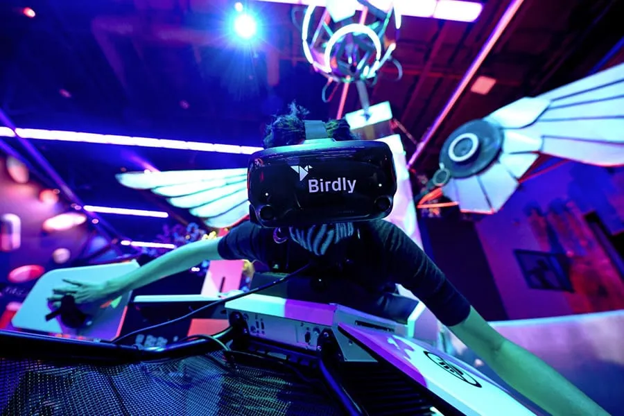 birdly flight simulator