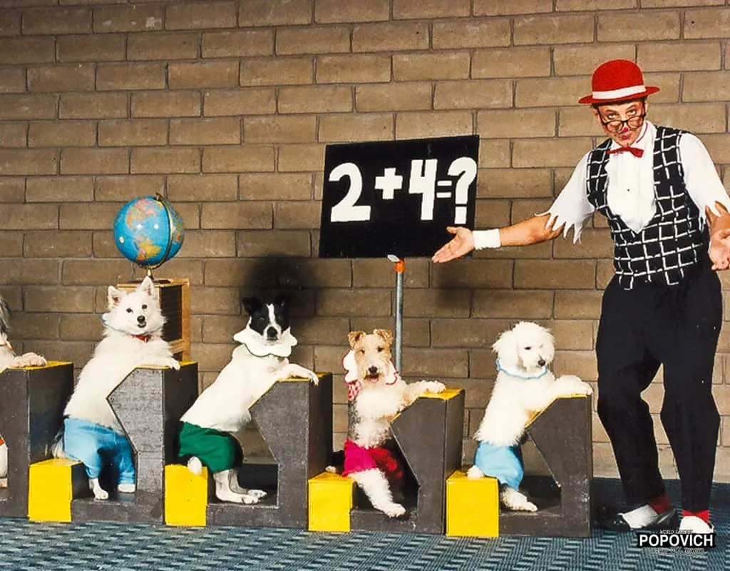 Gregory Popovich Pet Theater (Kid-Friendly)