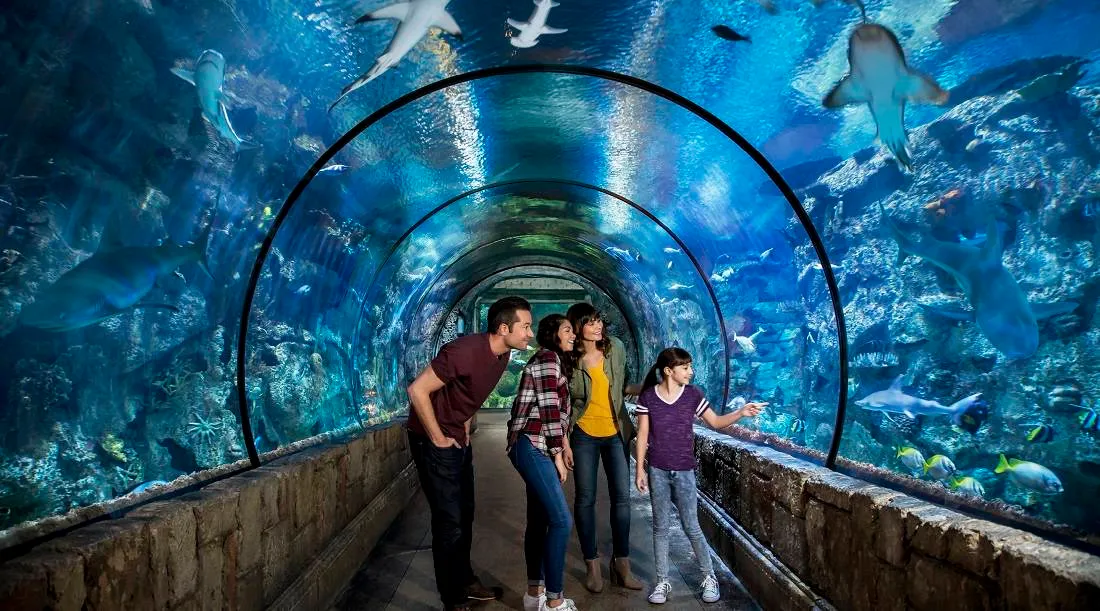 Mandalay Bay Aquarium
