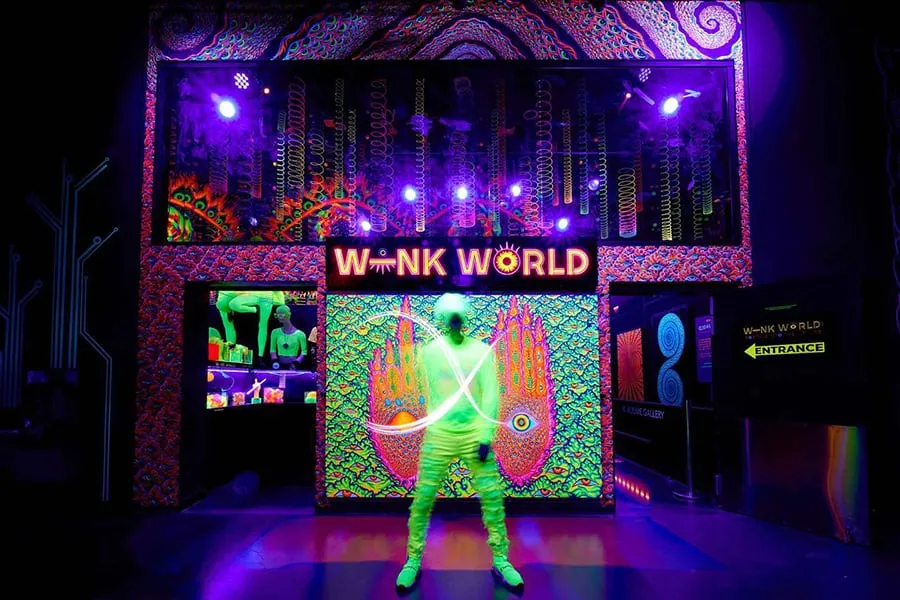 wink world