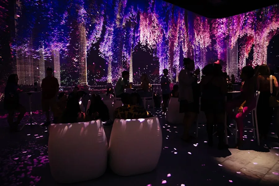 the bar and illuminarium after dark