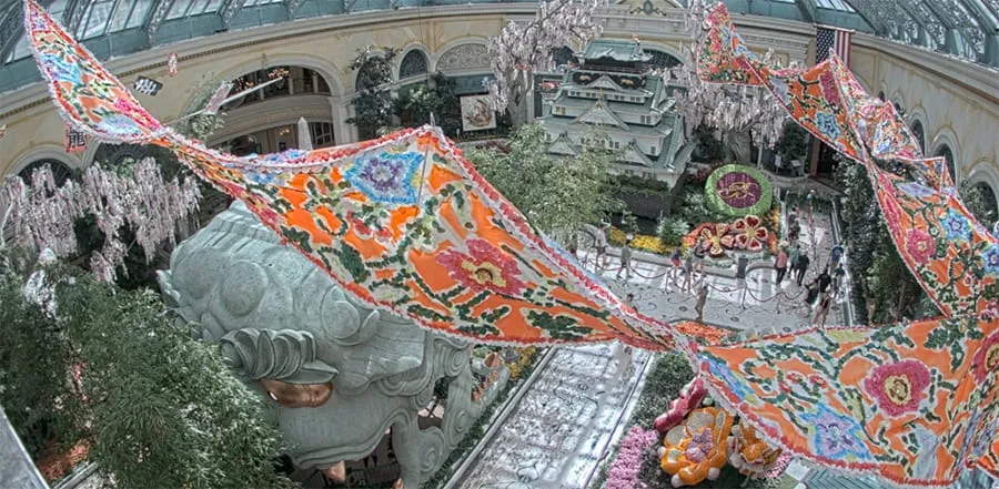 bellagio conservatory cam – earthcam