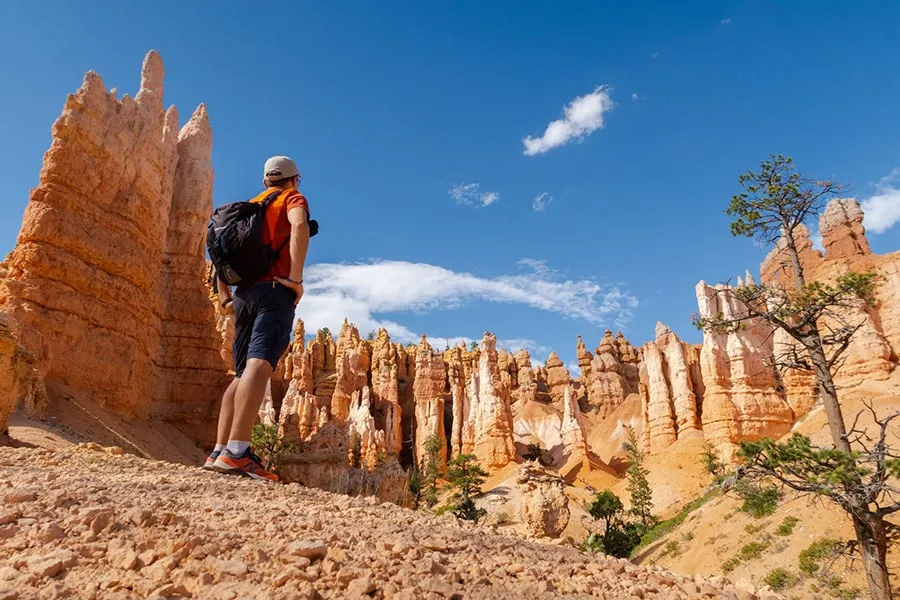 National Park Mini Explorer Three Day Tour Including Zion National Park by Bindlestiff Tours