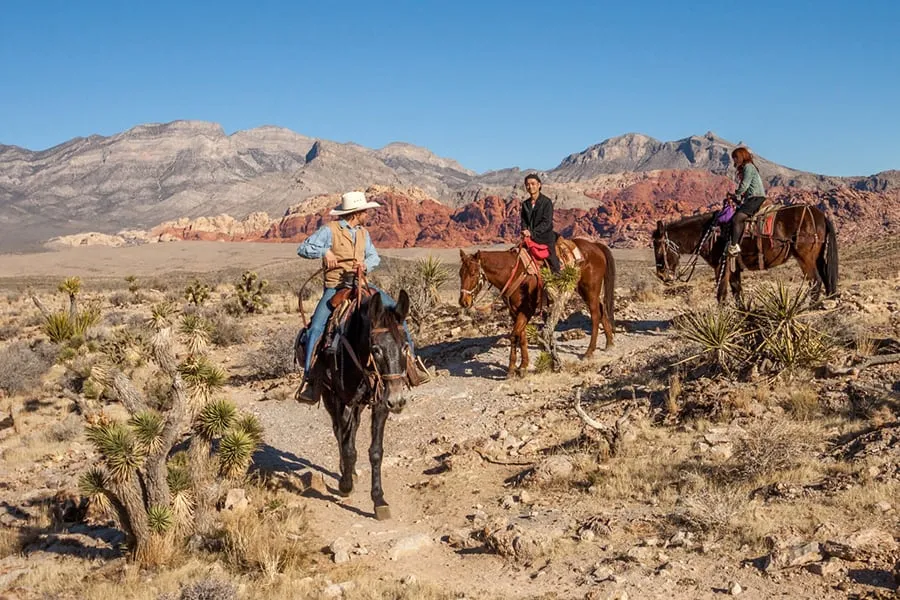 red rock canyon on horseback by cowboy trail rides