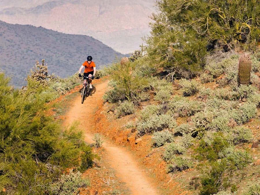 Red Rock Canyon Singletrack Mountain Bike Tour by Escape Adventures