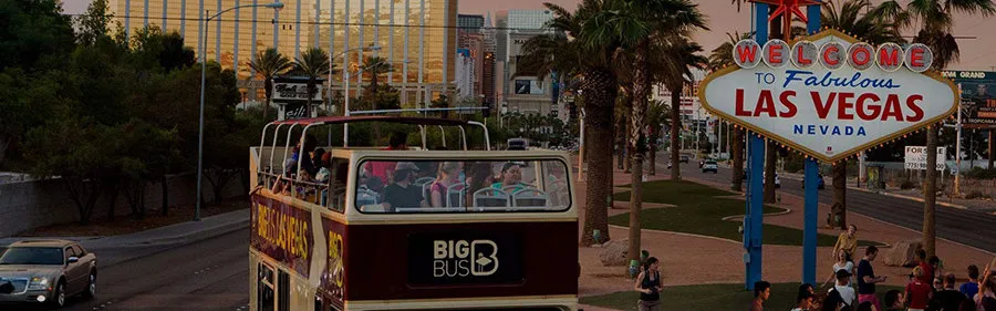 big bus premium ticket tour