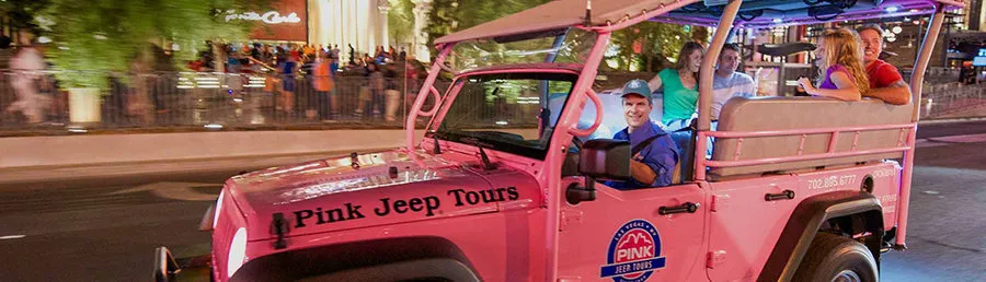 bright lights las vegas at night tour by pink adventure tour