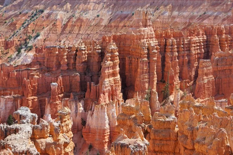bryce canyon and zion national parks small group tour from las vegas by coexist west coast tours