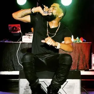 ginuwine concert