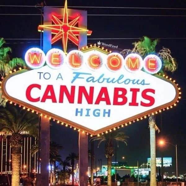 Grass and Glass Premium Tour by Las Vegas Cannabis Tours