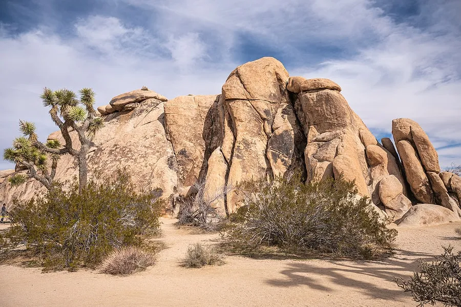 Joshua Tree National Park