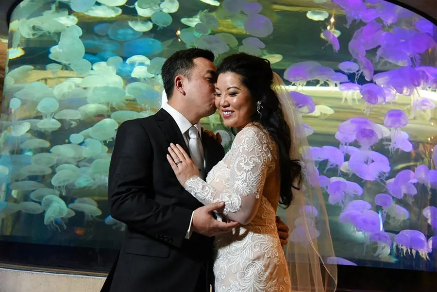 Mandalay Bay Shark Reef Aquarium Wedding