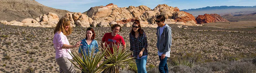Red Rock Canyon Rocky Gap Off-Road Tour by Pink Jeep Tours Las Vegas