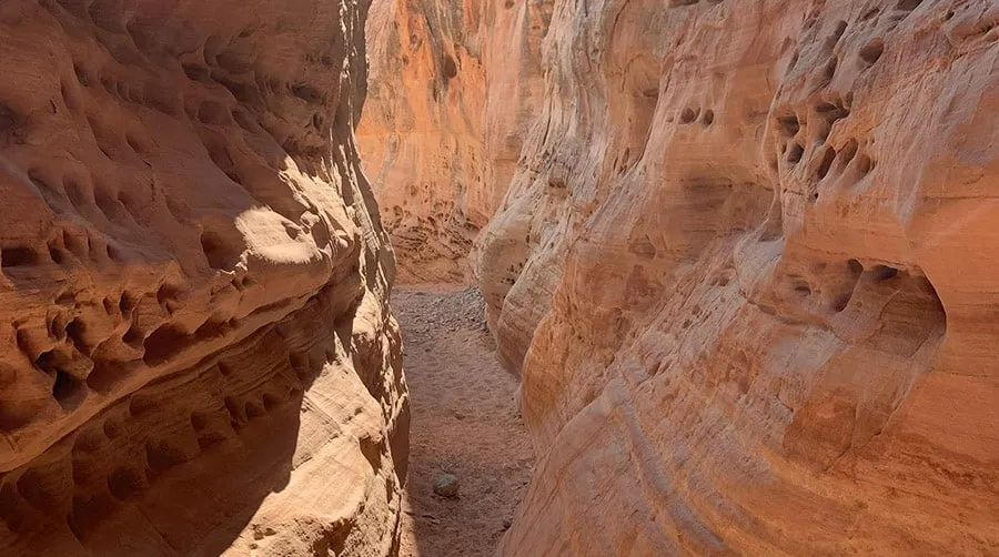 Valley of Fire Hiking Tour From Las Vegas by Love Hikes
