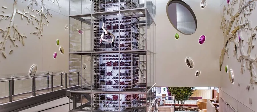 Glass Enclosed Wine Room At Lupo