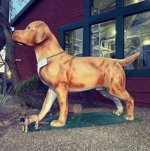 Big Dog’s Brewing Company