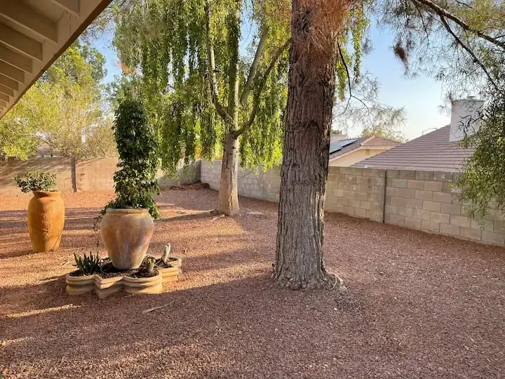 Las Vegas Pet-Friendly House Near a Park